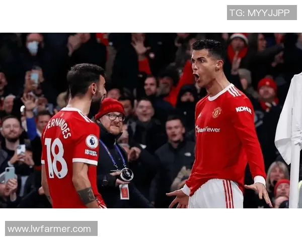 足球球星空翻技惊四座挑战极限演绎精彩瞬间展现超凡技巧